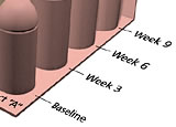 genchart22